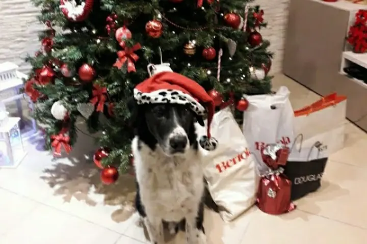 Buona Natale a tutti!