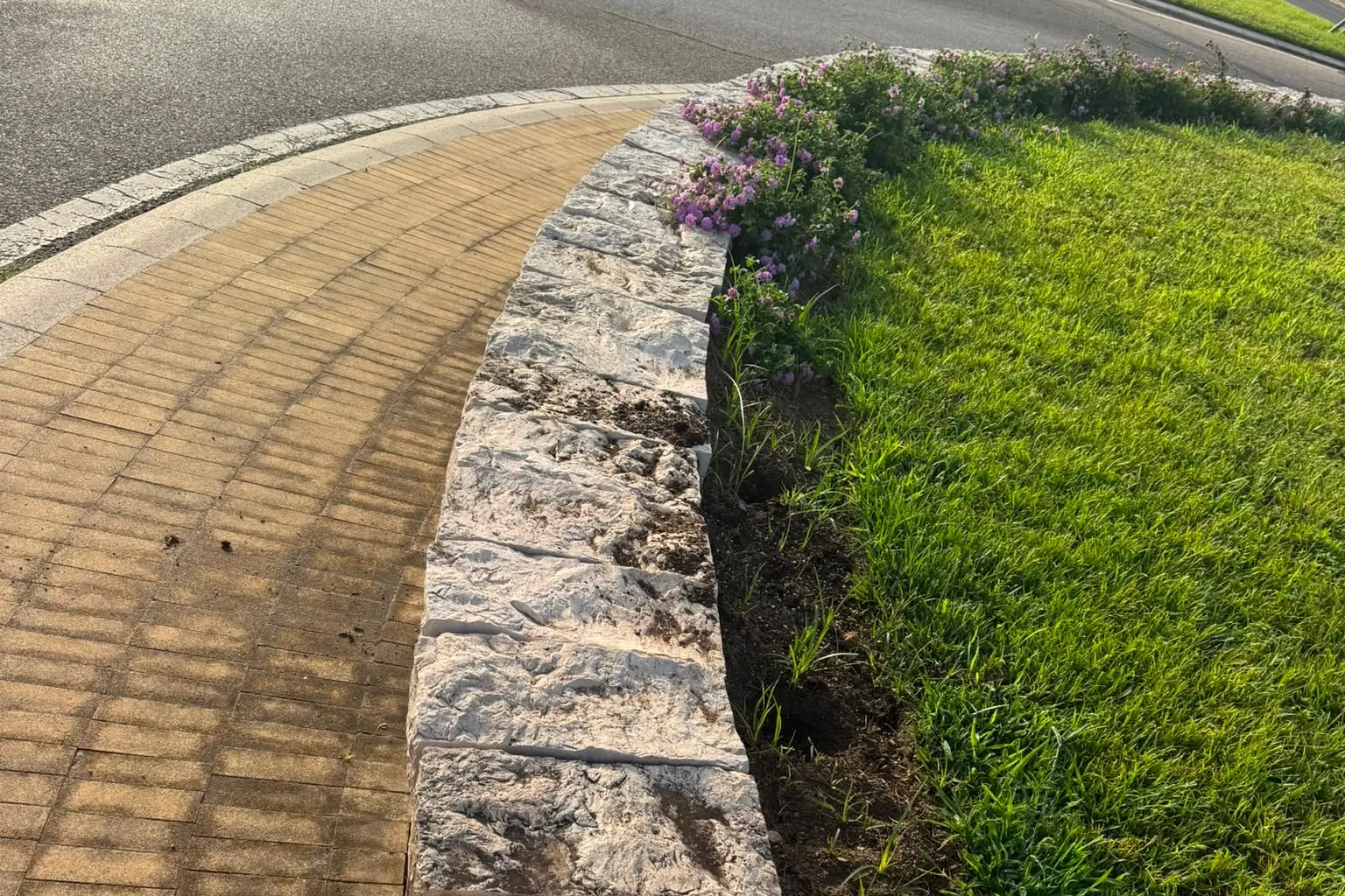 L'aiuola vandalizzata in via Garibaldi