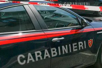 Un'auto dei carabinieri (Ansa - Fasani)