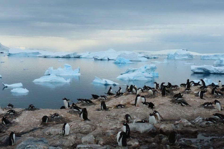 Parco marino protetto in Antartide, l'ottavo veto di Russia e Cina