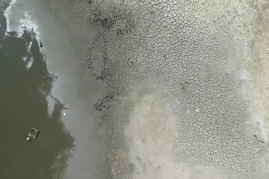 Siccità a Londra, le rive di uno stagno prosciugate