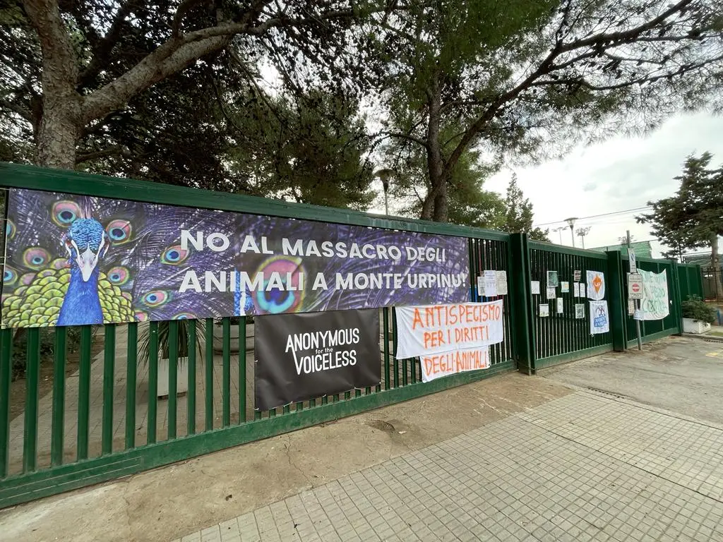 Antispecismo Cagliari