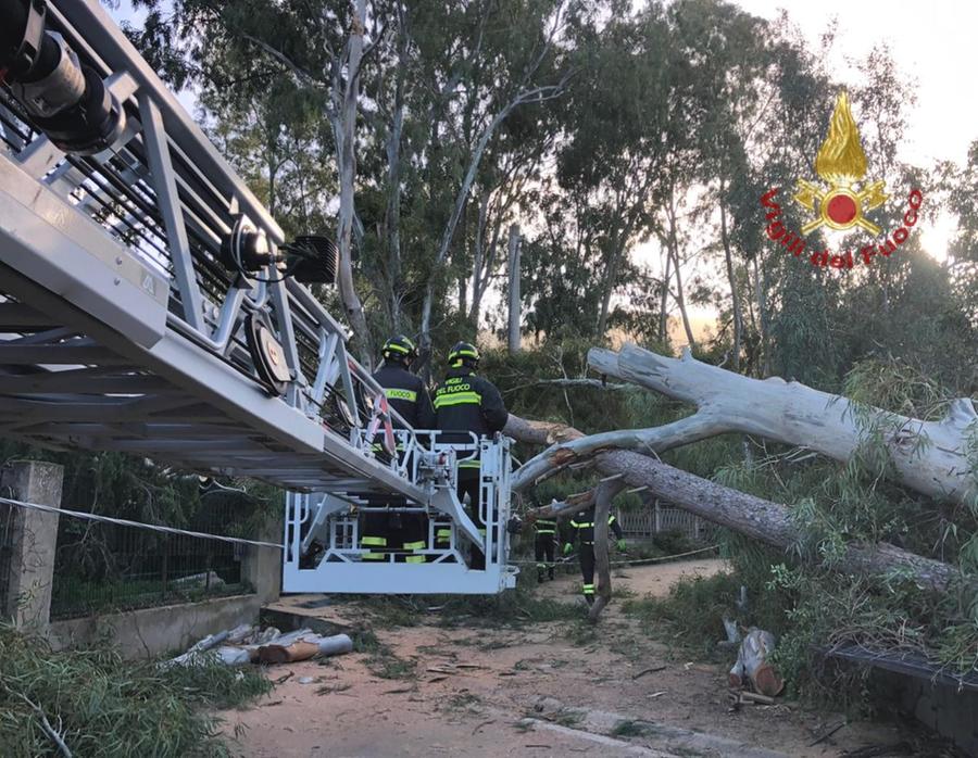 Cagliari, la furia del maestrale semina danni: pali e tetti divelti, alberi crollati