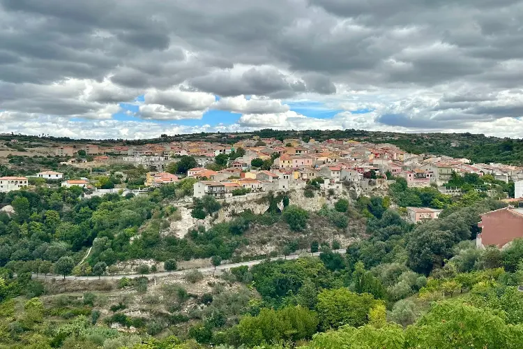Ossi (foto concessa)