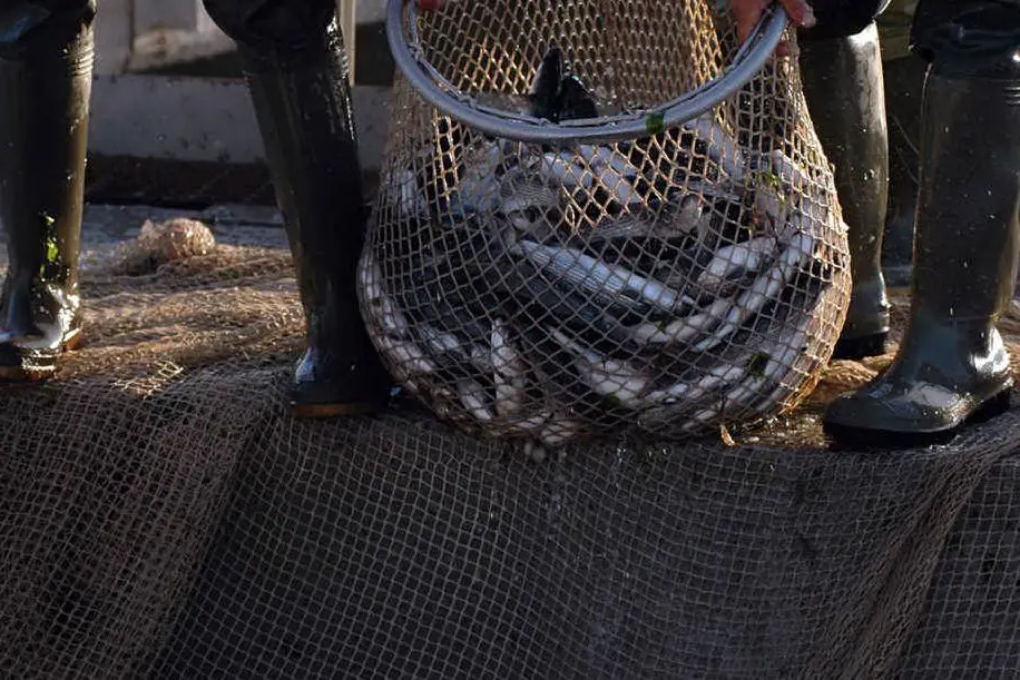 Pesca (foto di repertorio)