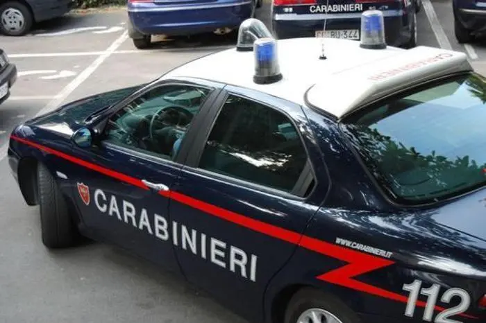 Sul caso indagano i carabinieri (Ansa)