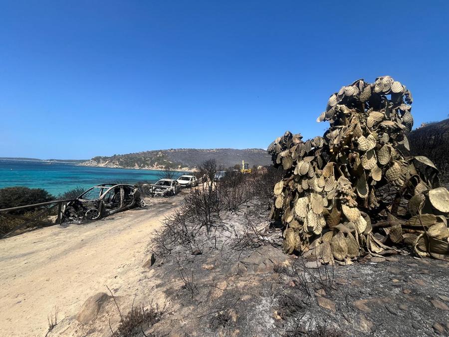 L’innesco e il fumo: due ragazzi hanno cercato di spegnere le prime fiamme a Punta Molentis