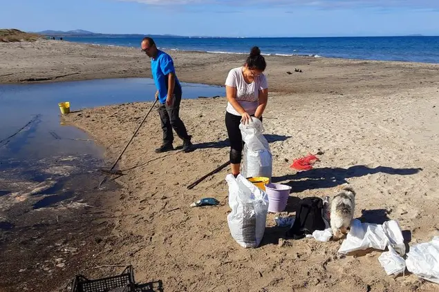 Volontari al lavoro alla foce del fiume (foto concessa)