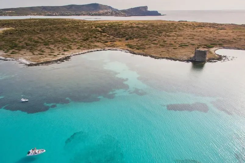 L'area marina protetta dell'Asinara (foto concessa)