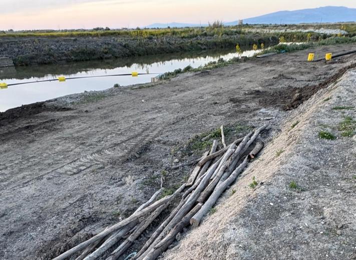 Il dragaggio dello stagno in Consiglio