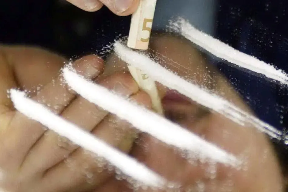 &quot;Strisce&quot; di cocaina
