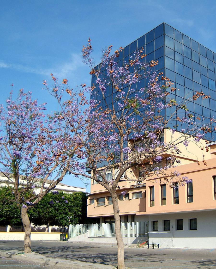 Ora FdI deve ripianare i dissidi, Milia già in campagna elettorale