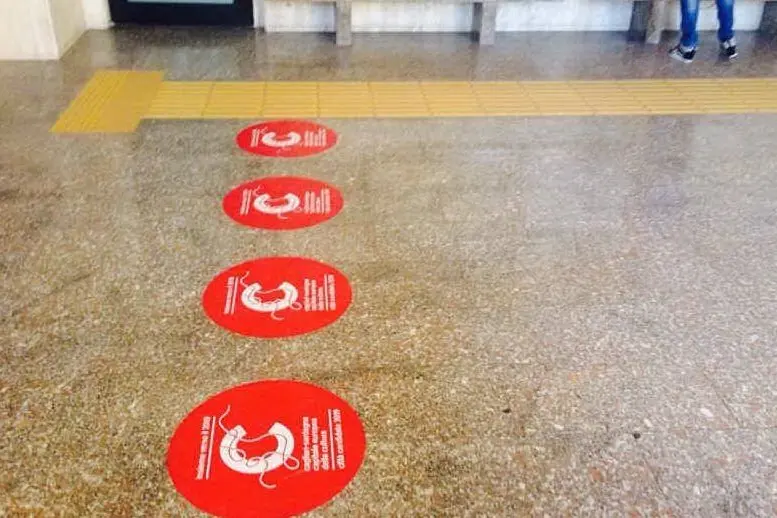 Gli adesivi ancora sul pavimento della stazione in piazza Matteotti