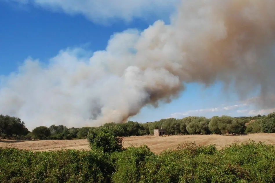Uno degli incendi alla periferia di Oristano