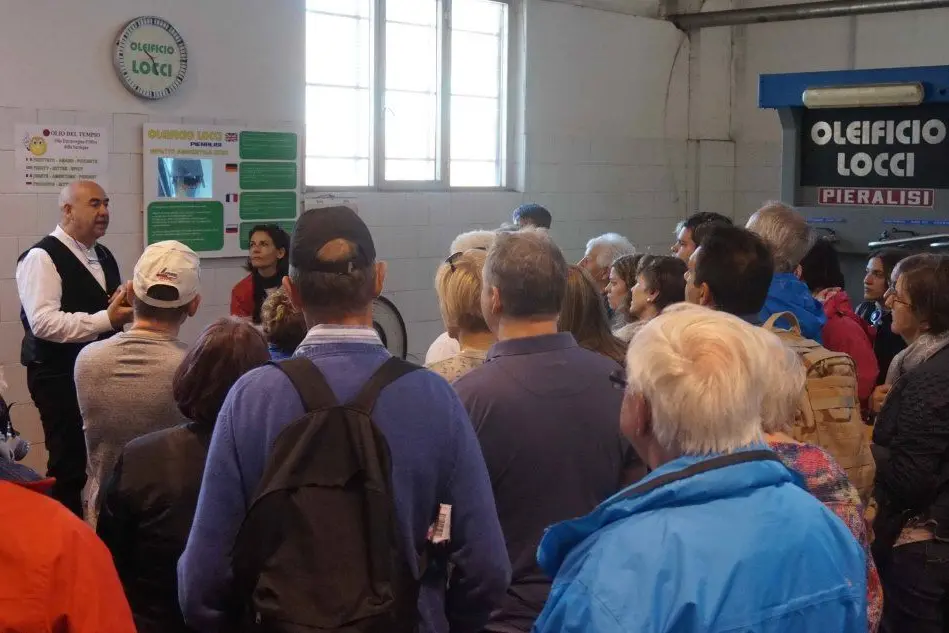 I croceristi in visita al Museo dell'olio di Dolianova