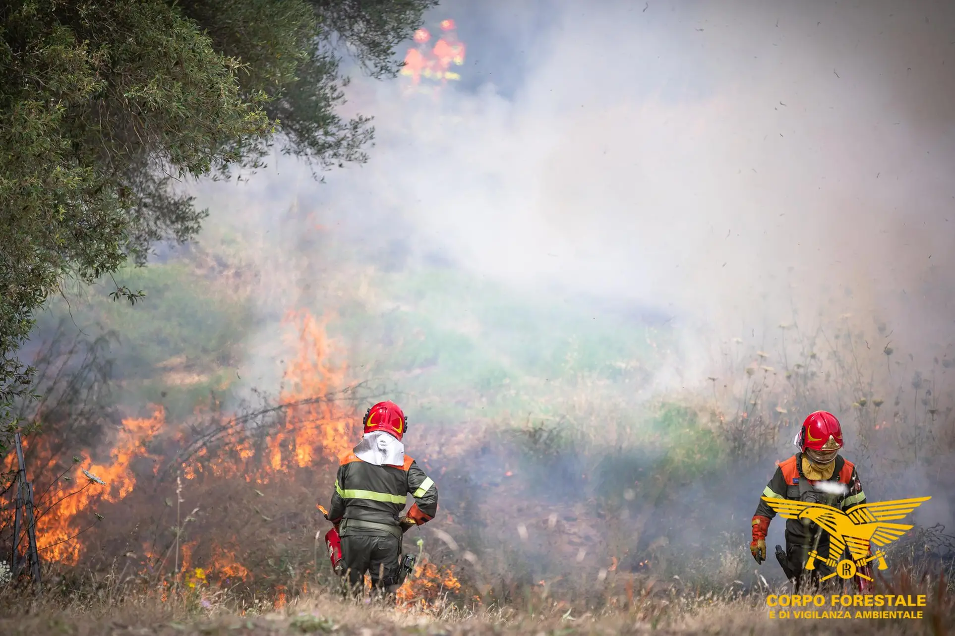 L'incendio nelle campagne di Silanus (foto Cfva)