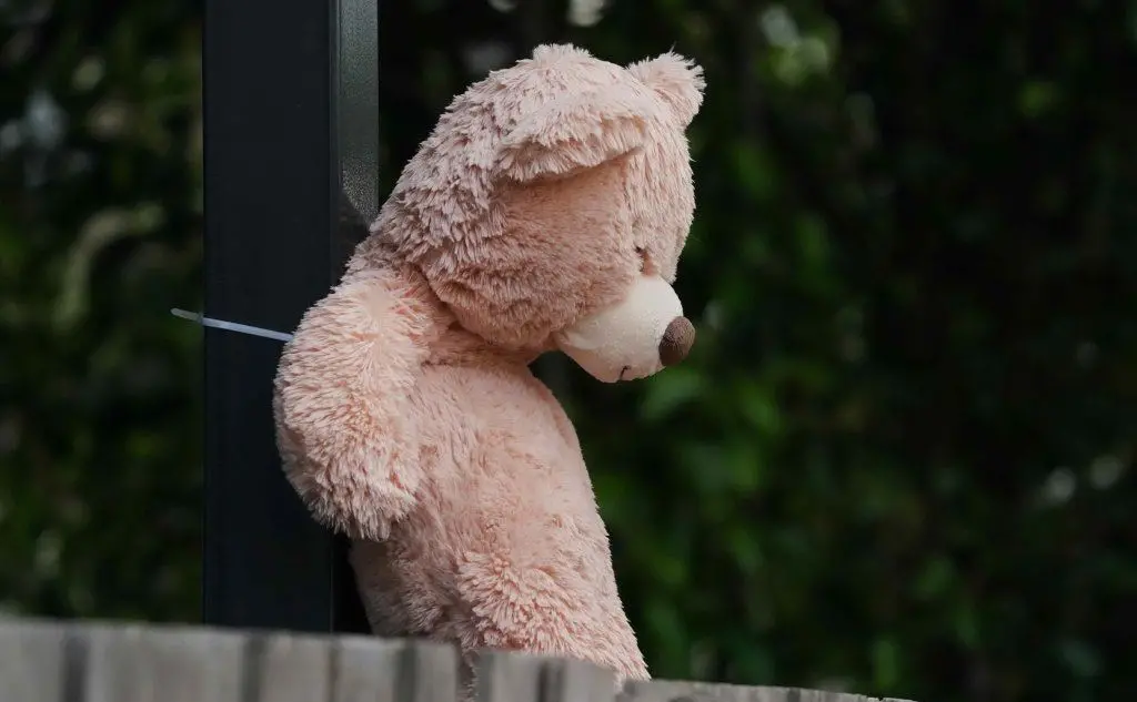 Un peluche
