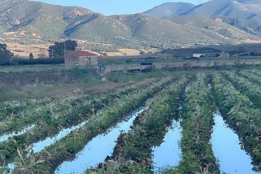 Valledoria, la Giunta dichiara lo stato di calamità naturale