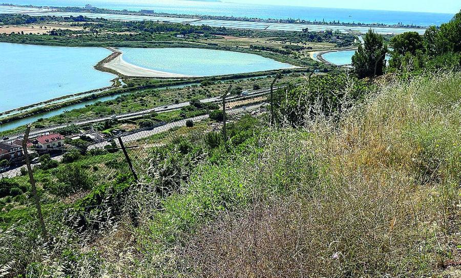 La città assediata dalle sterpaglie