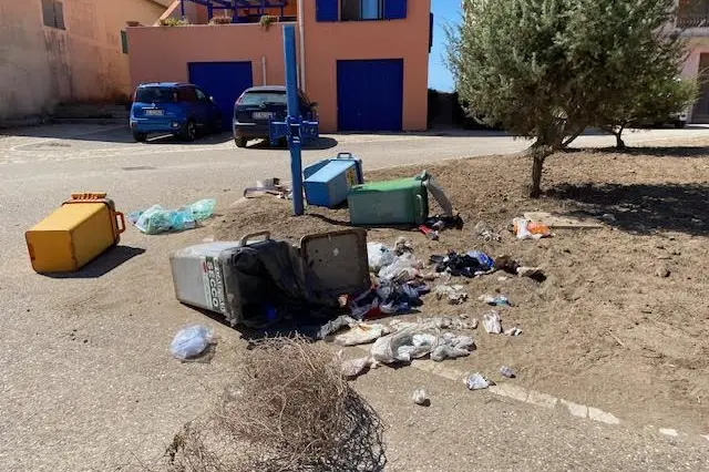 I cestini rovesciati a terra dai cinghiali (Foto Sara Pinna)