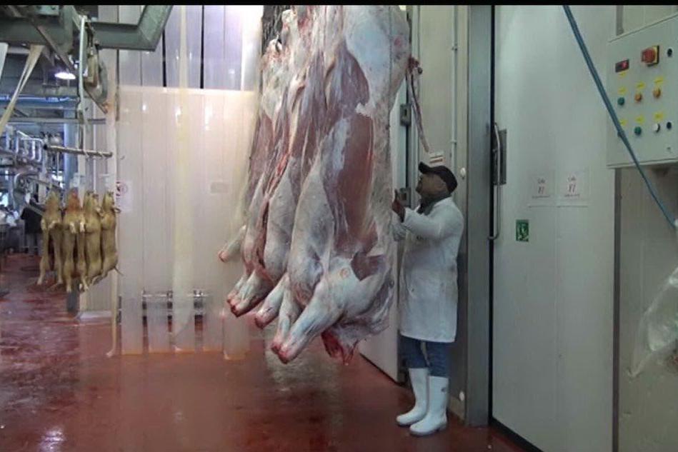 Sigilli alla filiera della carne: rischio paralisi in Sardegna