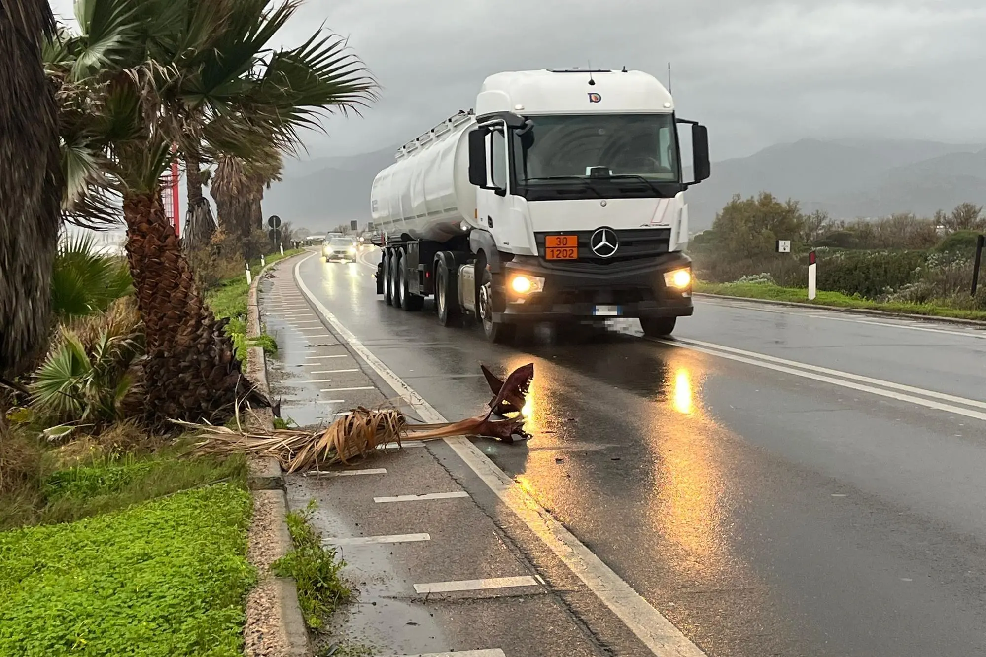 Il maltempo (foto Vercelli)