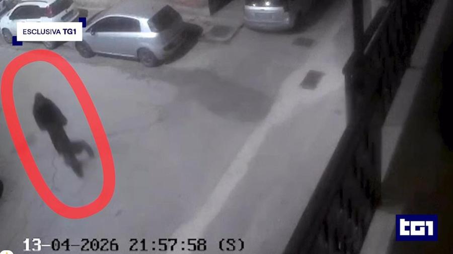 Dino Carta ucciso per strada: «Chi sa parli». Il giallo dell’audio, la caccia all’uomo incappucciato in bici