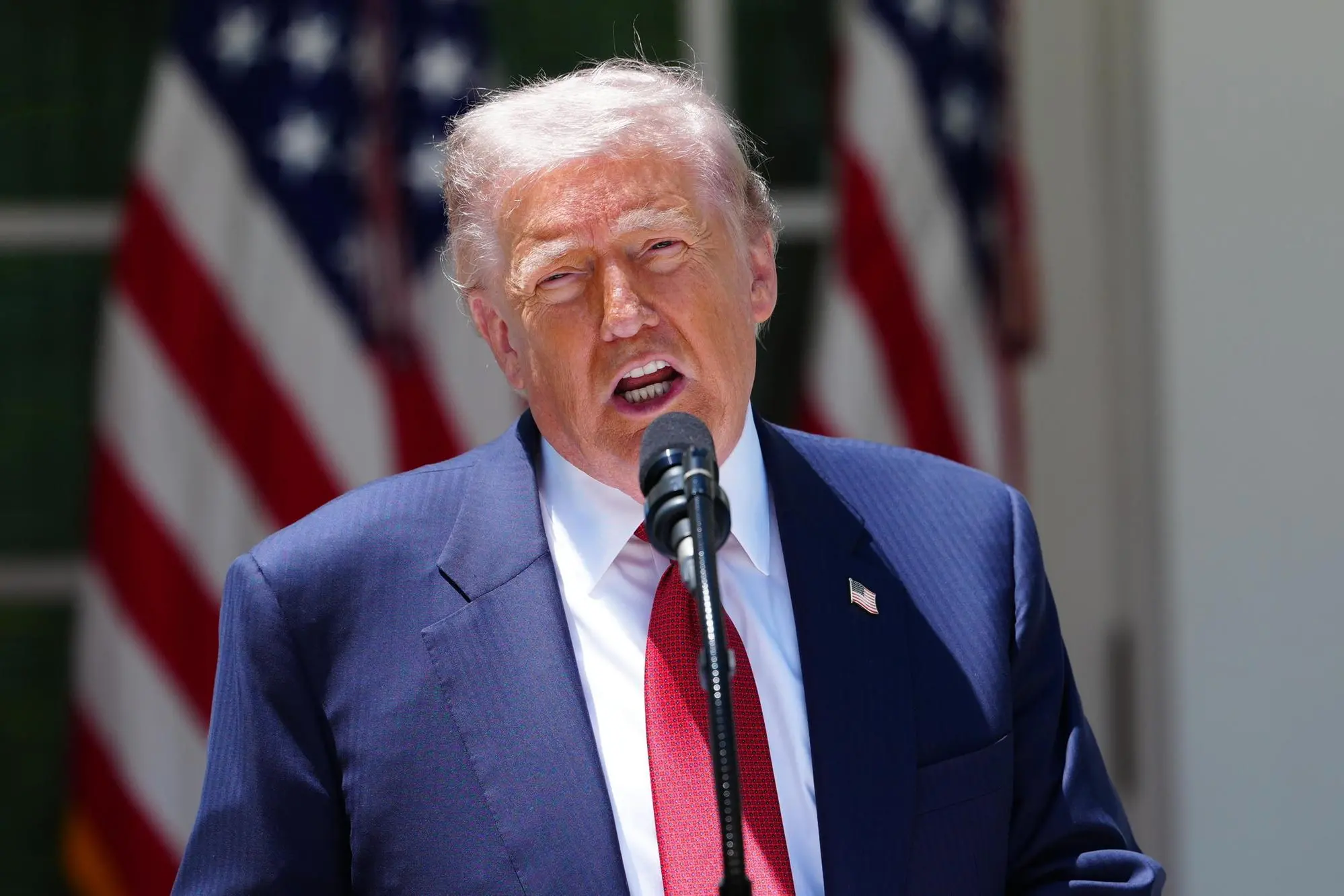 Donald J Trump (Ansa)
