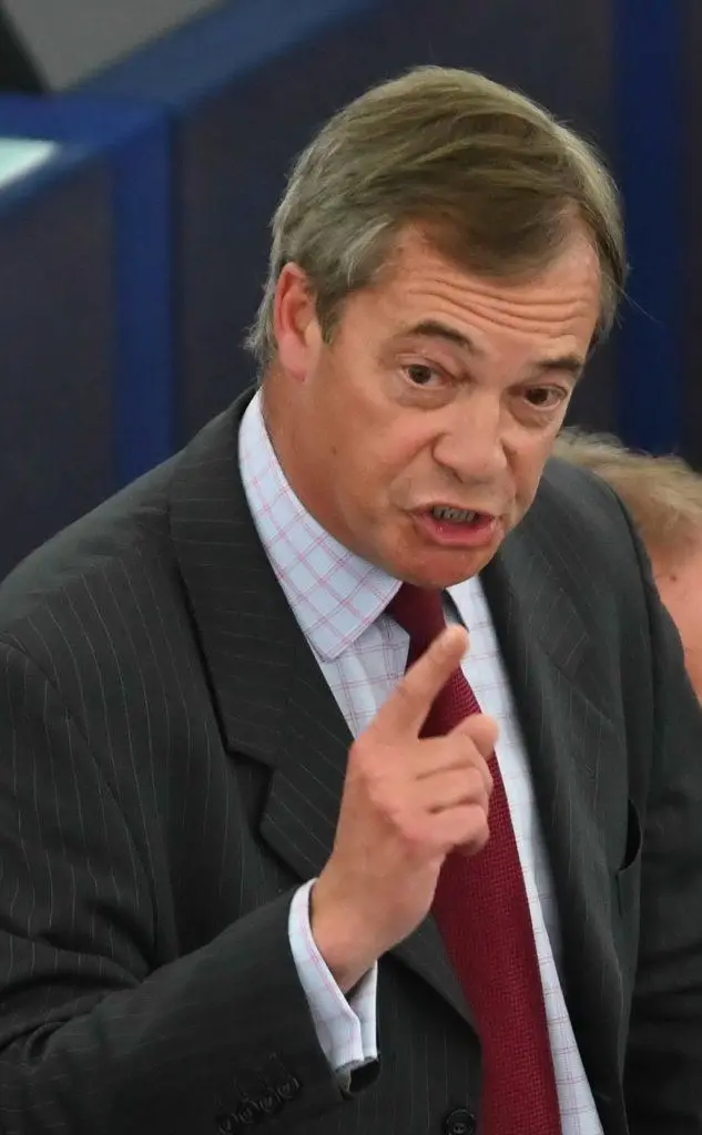 L'intervento di Nigel Farage (Ansa)