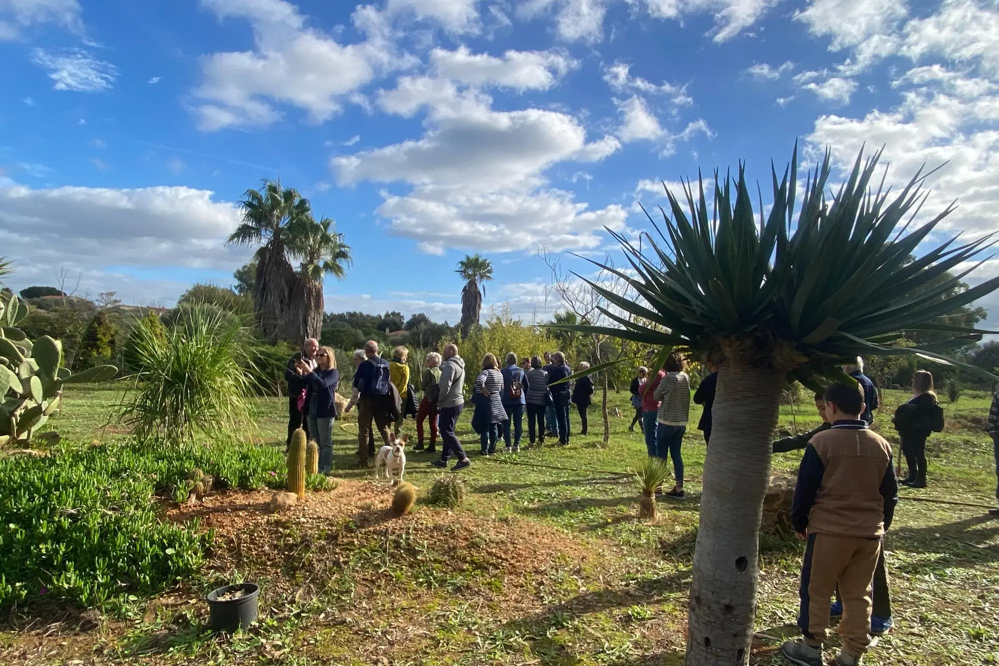 Il giardino botanico