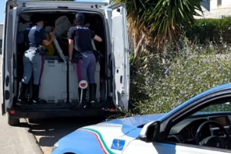 I controlli della polizia