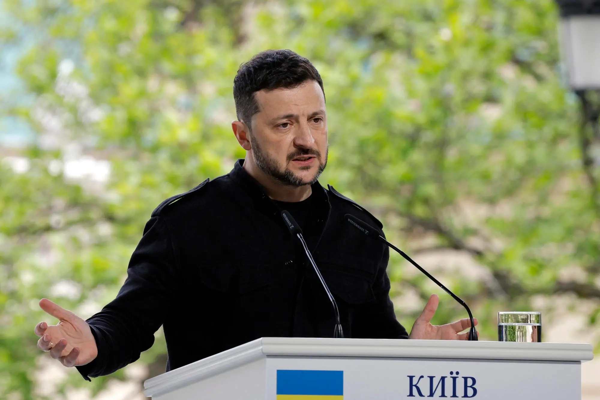 Volodymyr Zelensky (Ansa)