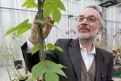 Stefano Mancuso