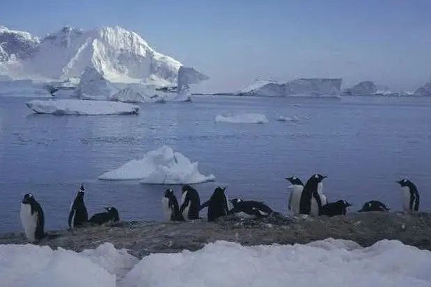 Antartide (Ansa)