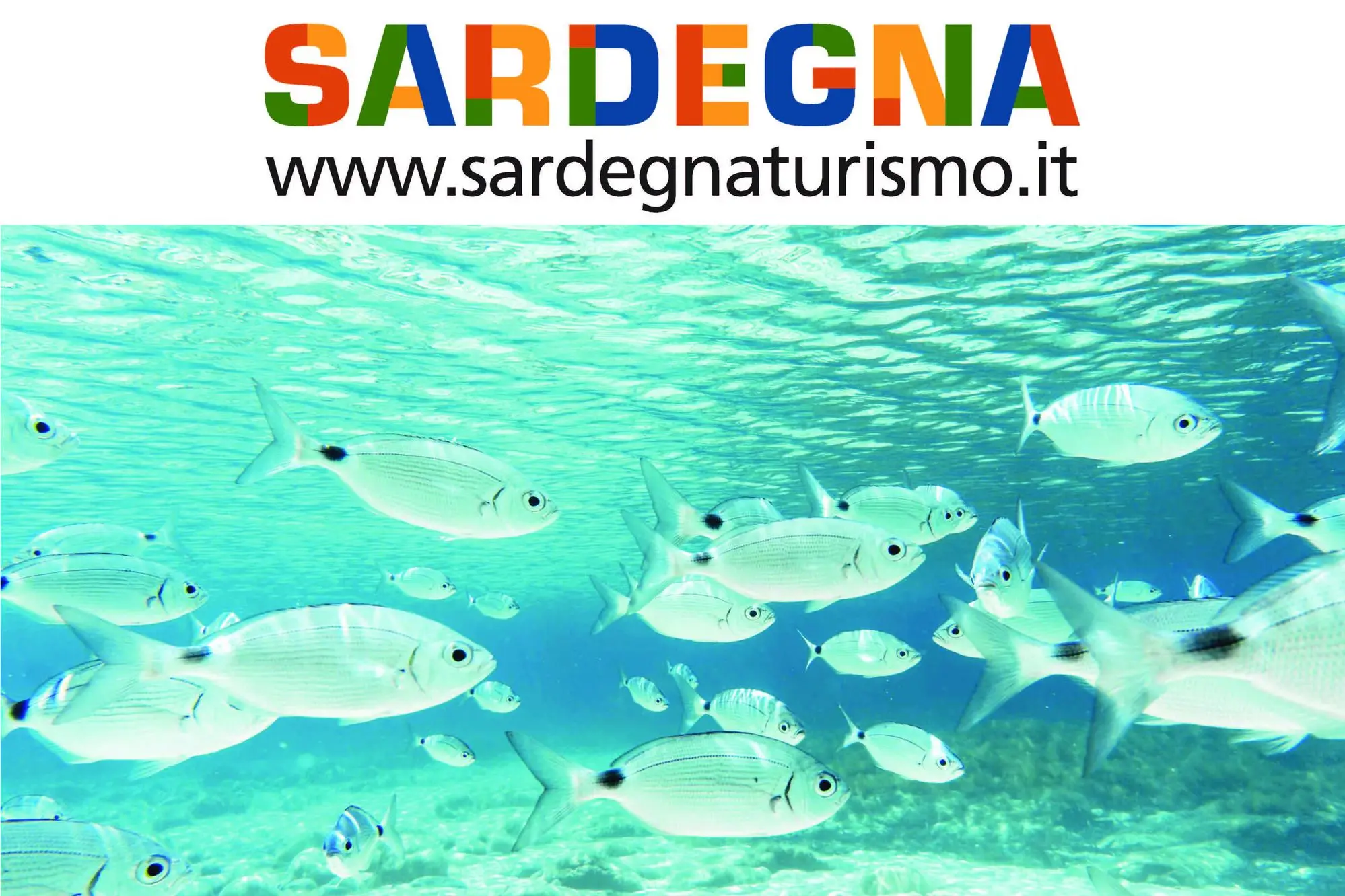 Il territorio del Sulcis-Iglesiente si caratterizza per il suo mare limpido e cristallino. La ricchezza naturale dei suoi fondali nasconde un mondo fantastico di fauna marina e varietà di pesci da ammirare