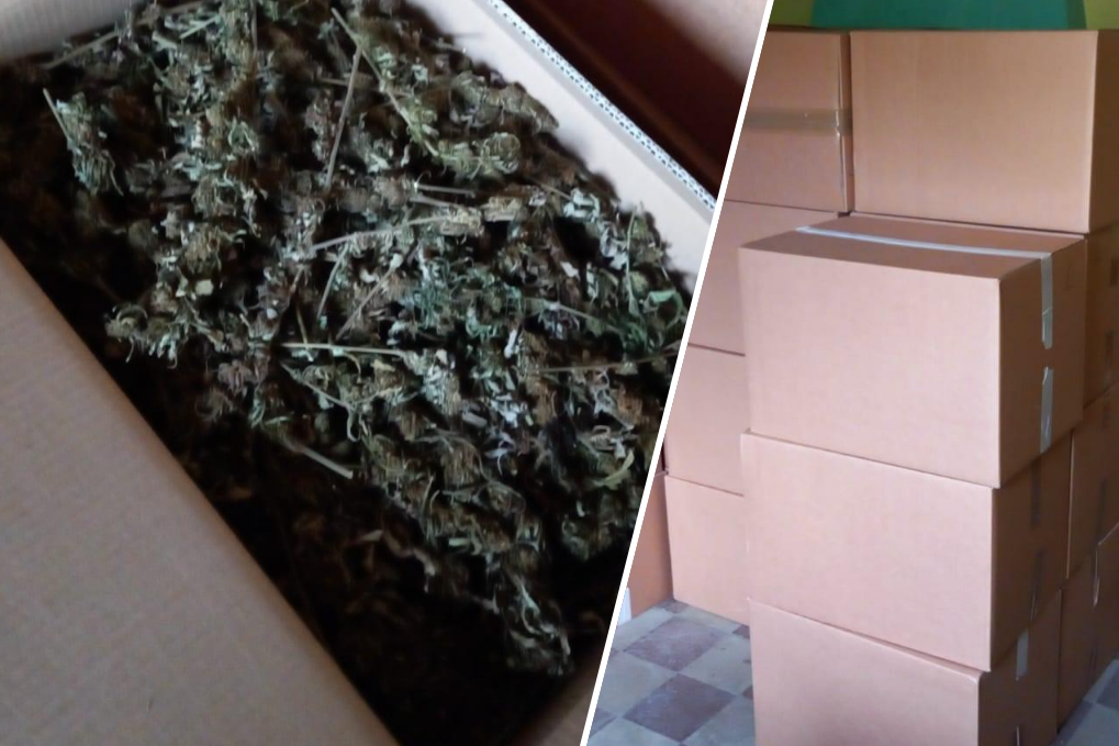 Nascondevano a Bitti oltre 200 chili di cannabis: due giovani in arresto