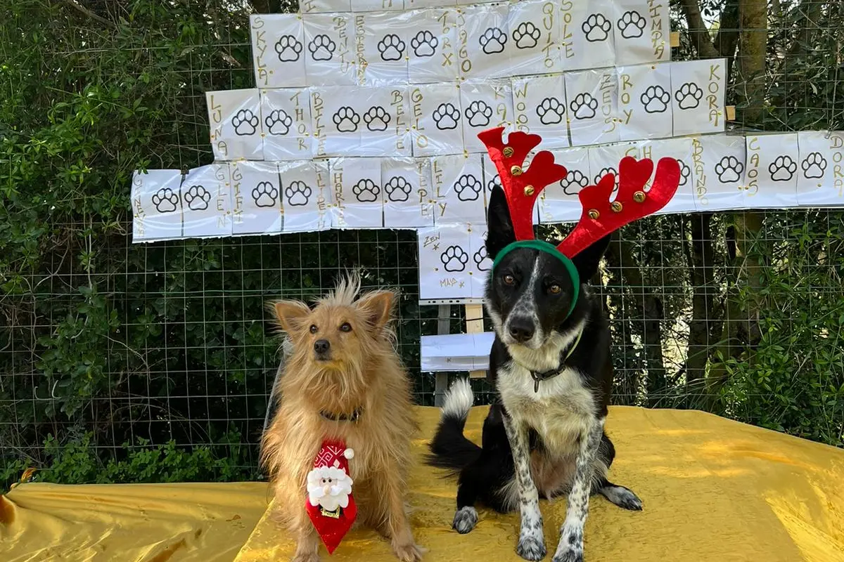 Buone feste da Willy e Bet