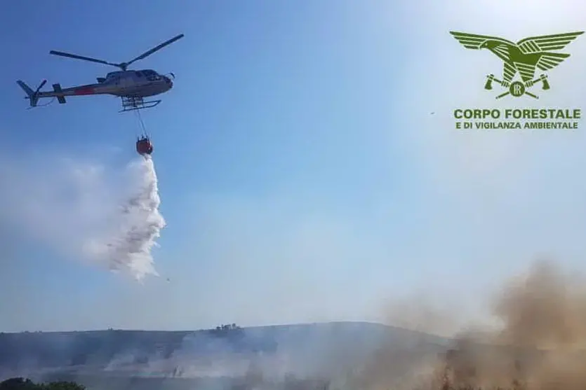 Elicottero in azione per spegnere le fiamme (foto Corpo forestale)