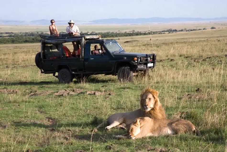 Un safari