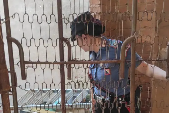 Iglesias, cani rinchiusi e abbandonati