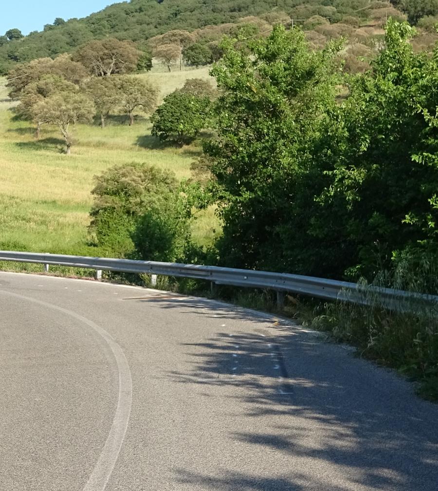 Si schianta in moto, 37enne gravissimo
