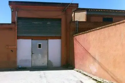 Il night mascherato da circolo culturale - foto Chergia