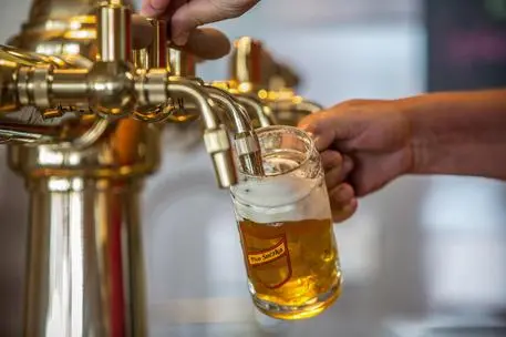 epa06780146 A barman pours a glass of Snezka beer from a tap in the brew house at Pecky pivovar brewery in the Krkonose Mountains (Giant Mountains) in Pec pod Snezkou, Czech Republic, 01 June 2018 (issued on 02 June 2018). The Pecky pivovar brewery is one of six local breweries that are connected along 35 kilometres by the Krkonose Beer Path. EPA/MARTIN DIVISEK ATTENTION: This Image is part of a PHOTO SET
