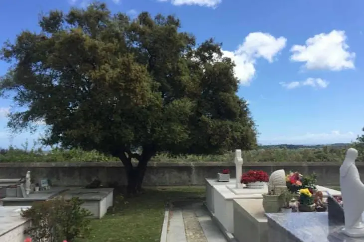 Il cimitero di Castiadas (foto Agus)