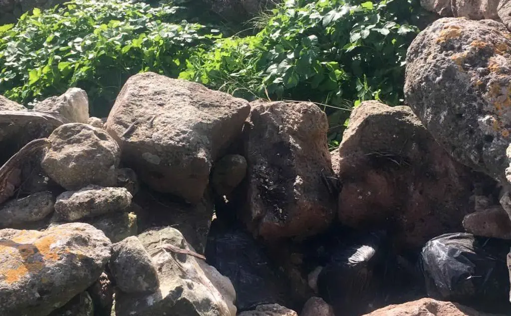 La droga era nascosta tra le rocce di un muretto a secco (foto carabinieri)
