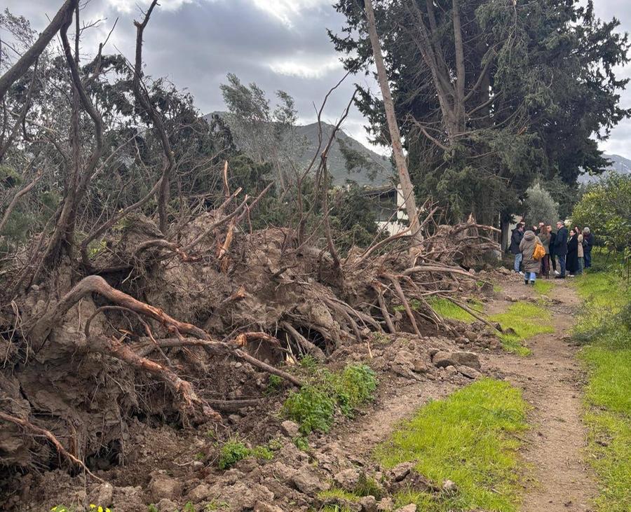 San Vito, legna da ardere a prezzo calmierato