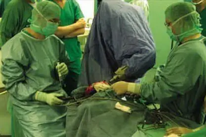 Chirurghi in sala operatoria