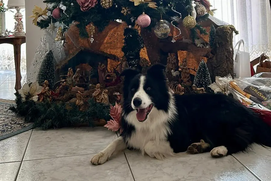 Buone feste a tutti anche da Bryan