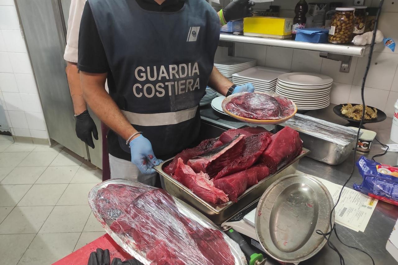 Il tonno sequestrato (Foto Capitaneria di Porto)