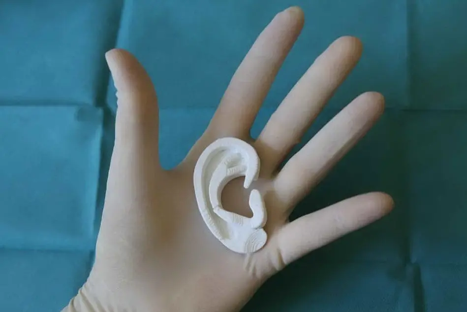 Il modello dell'orecchio del bimbo realizzato in laboratorio (foto @FondazioneMeyer)